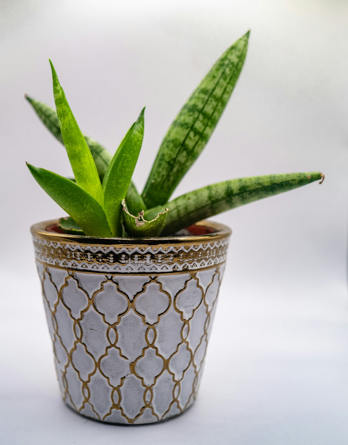 Glazed stoneware planter